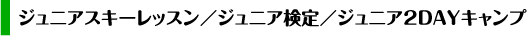 ジュニアスキーレッスン/ジュニア検定/ジュニア2DAYキャンプ